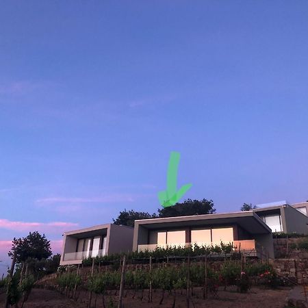 ホテル Vald'Aregos - Douro レゼンデ エクステリア 写真