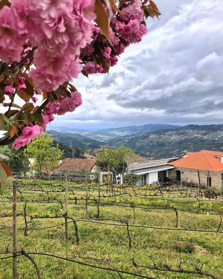 ホテル Vald'Aregos - Douro レゼンデ エクステリア 写真