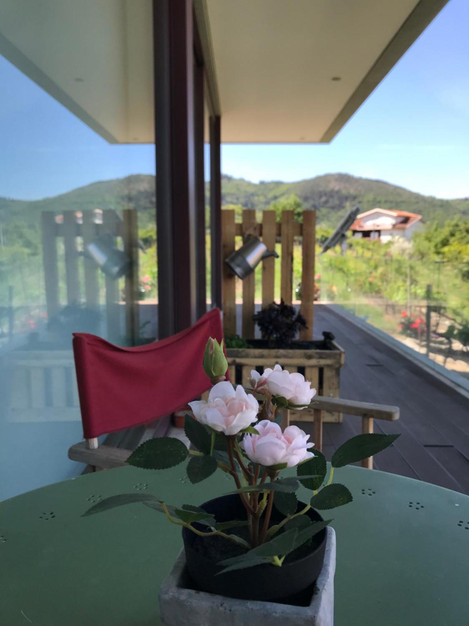 ホテル Vald'Aregos - Douro レゼンデ エクステリア 写真
