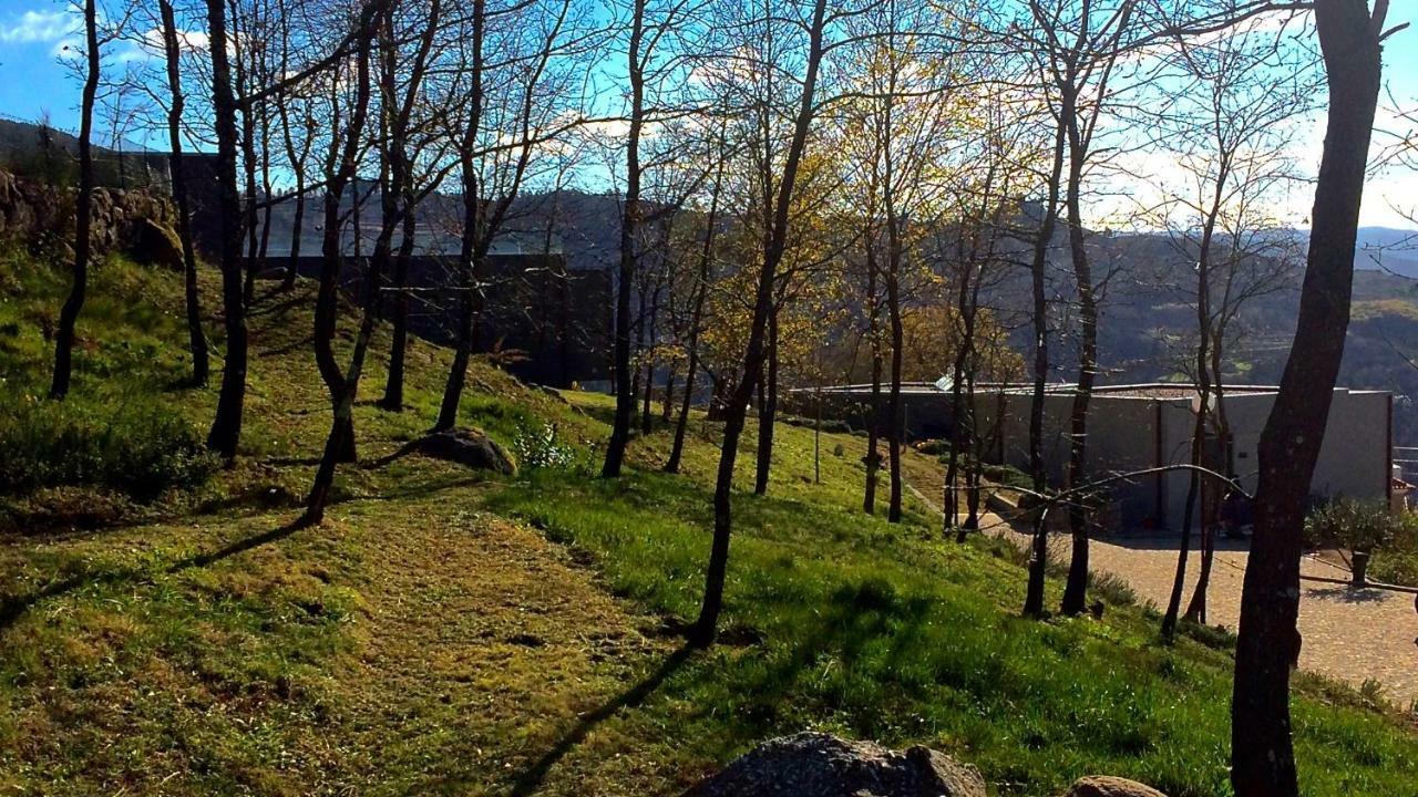 ホテル Vald'Aregos - Douro レゼンデ エクステリア 写真